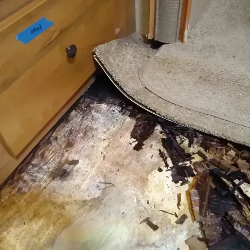 Wood Floor Water Damage in Northdale, FL